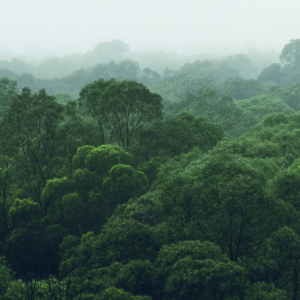 Beyond the Edge: Why Every Expedition Needs a Medic (and what can happen when they do not)