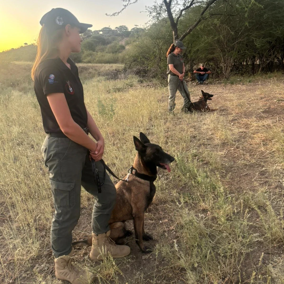 Hostile Environment Medicine