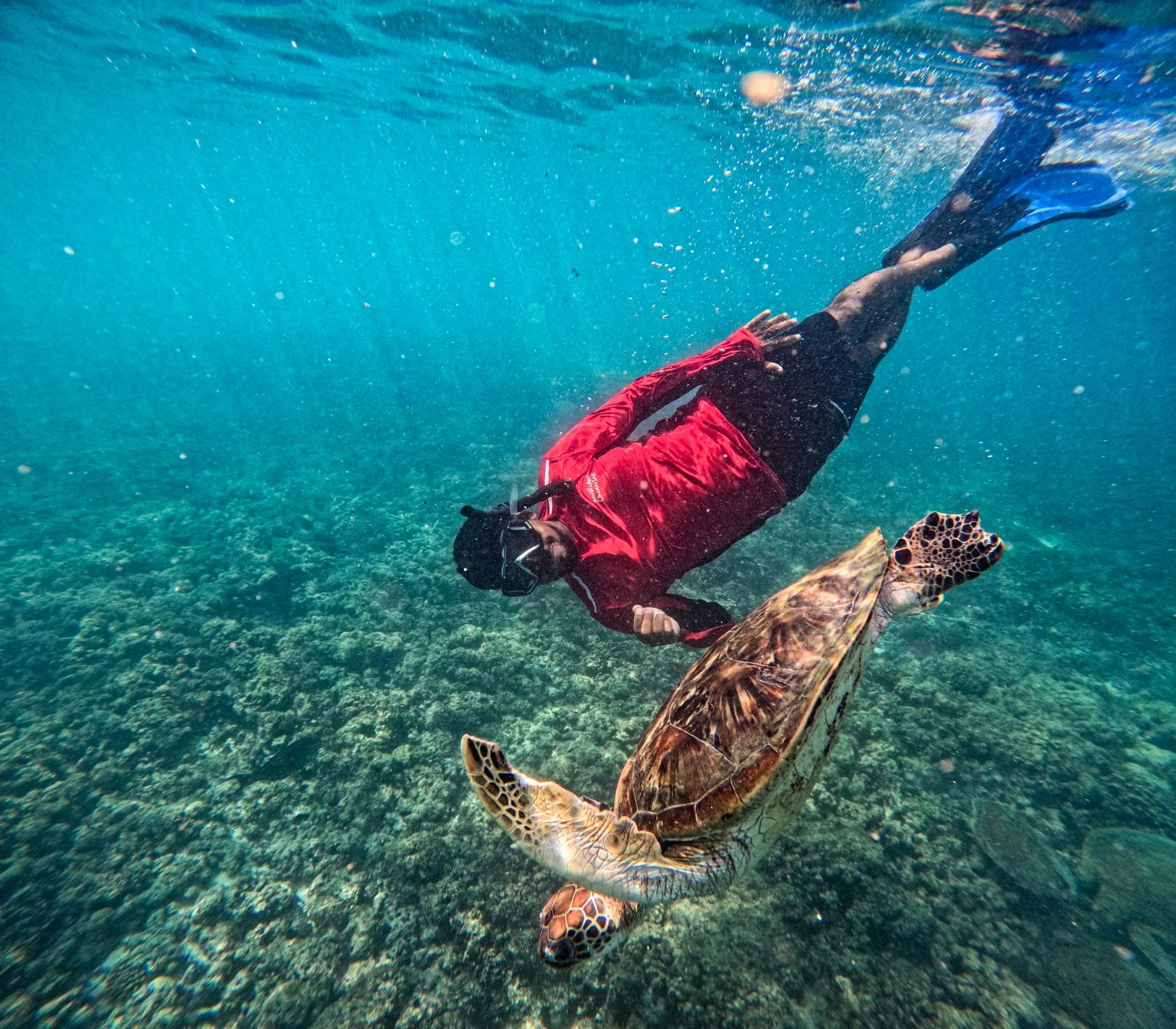 Daymaniyat Islands Dive & Expedition Medicine Course