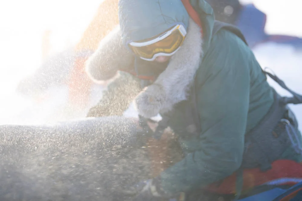 Polar Guides expedition