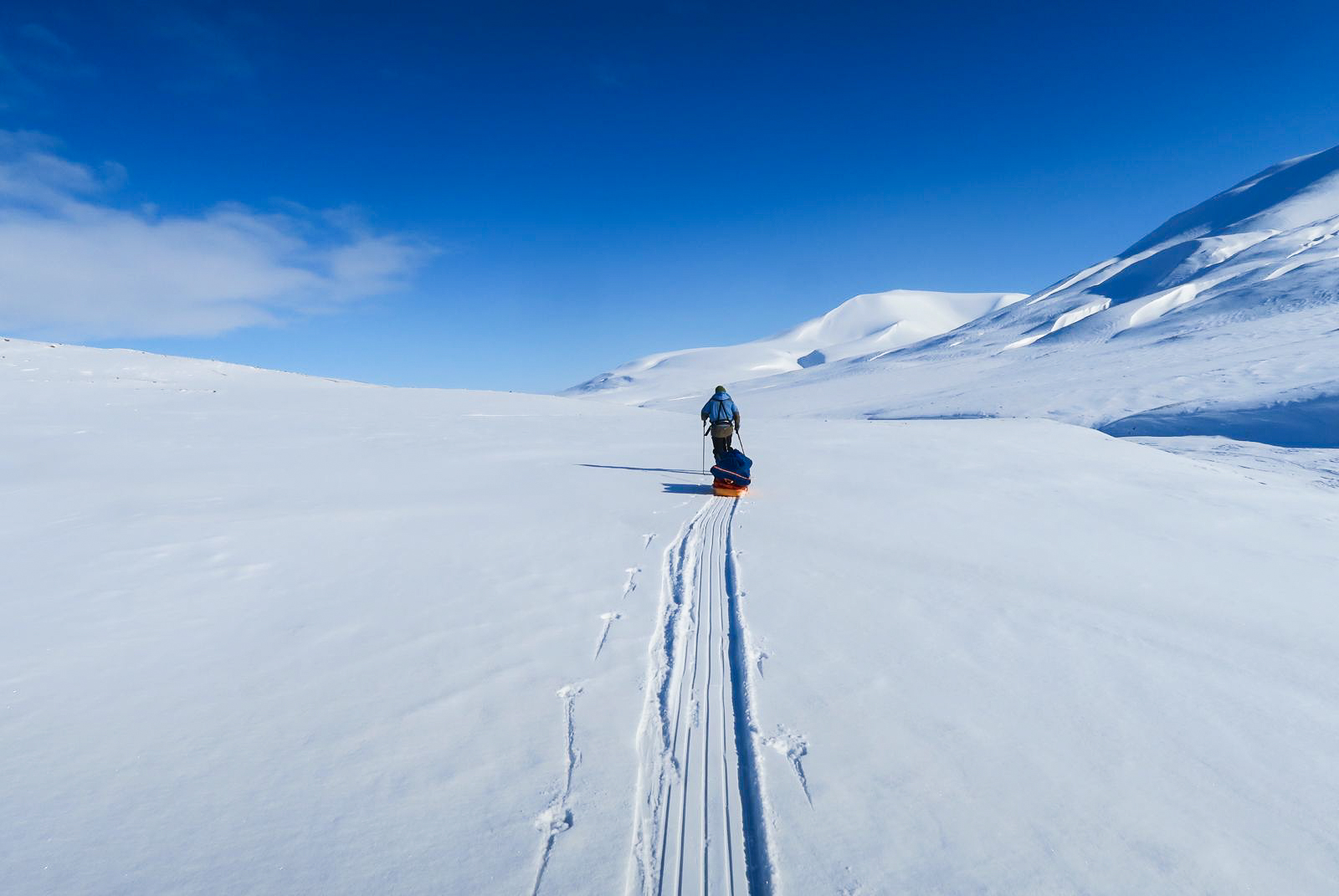 Svalbard Expedition