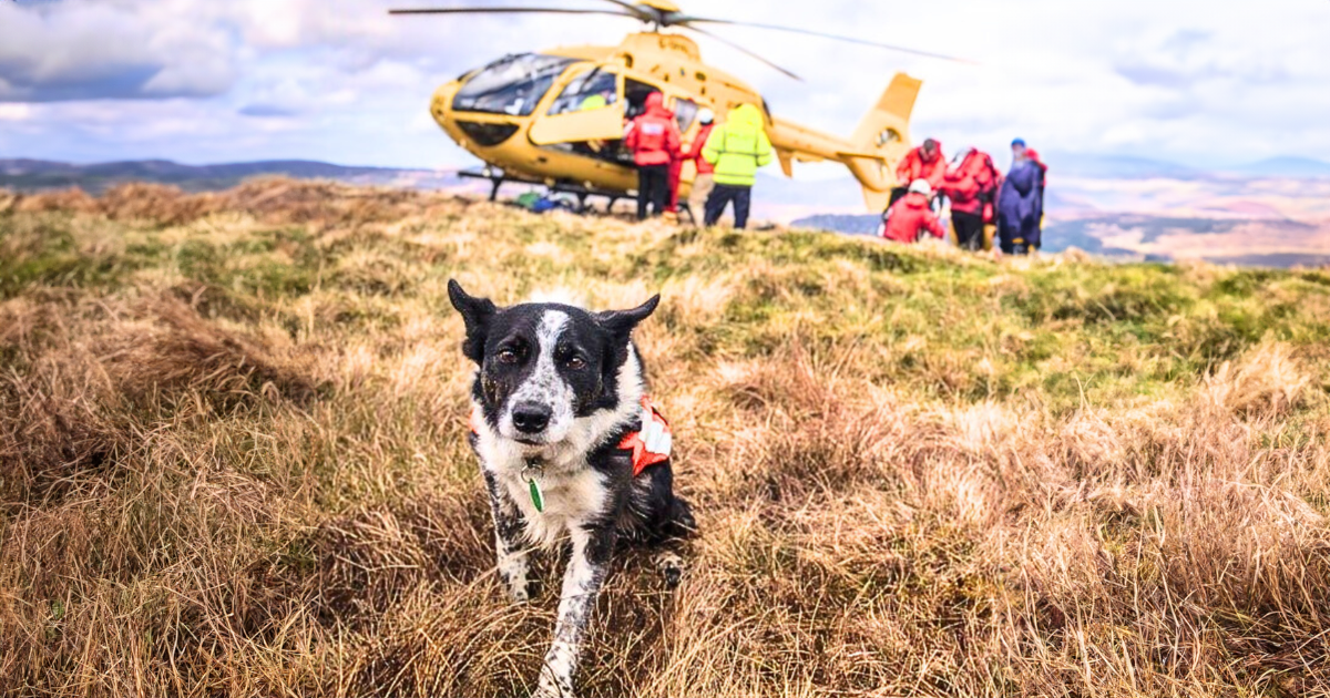 Expedition Veterinary