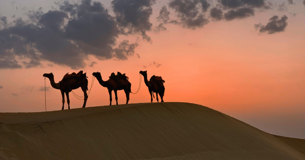 Desert Medicine Course Oman