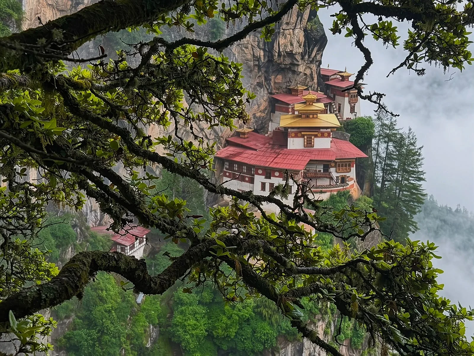 Bhutan monastery surrounded by forest